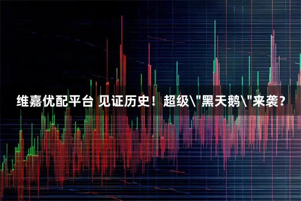 维嘉优配平台 见证历史！超级＂黑天鹅＂来袭？
